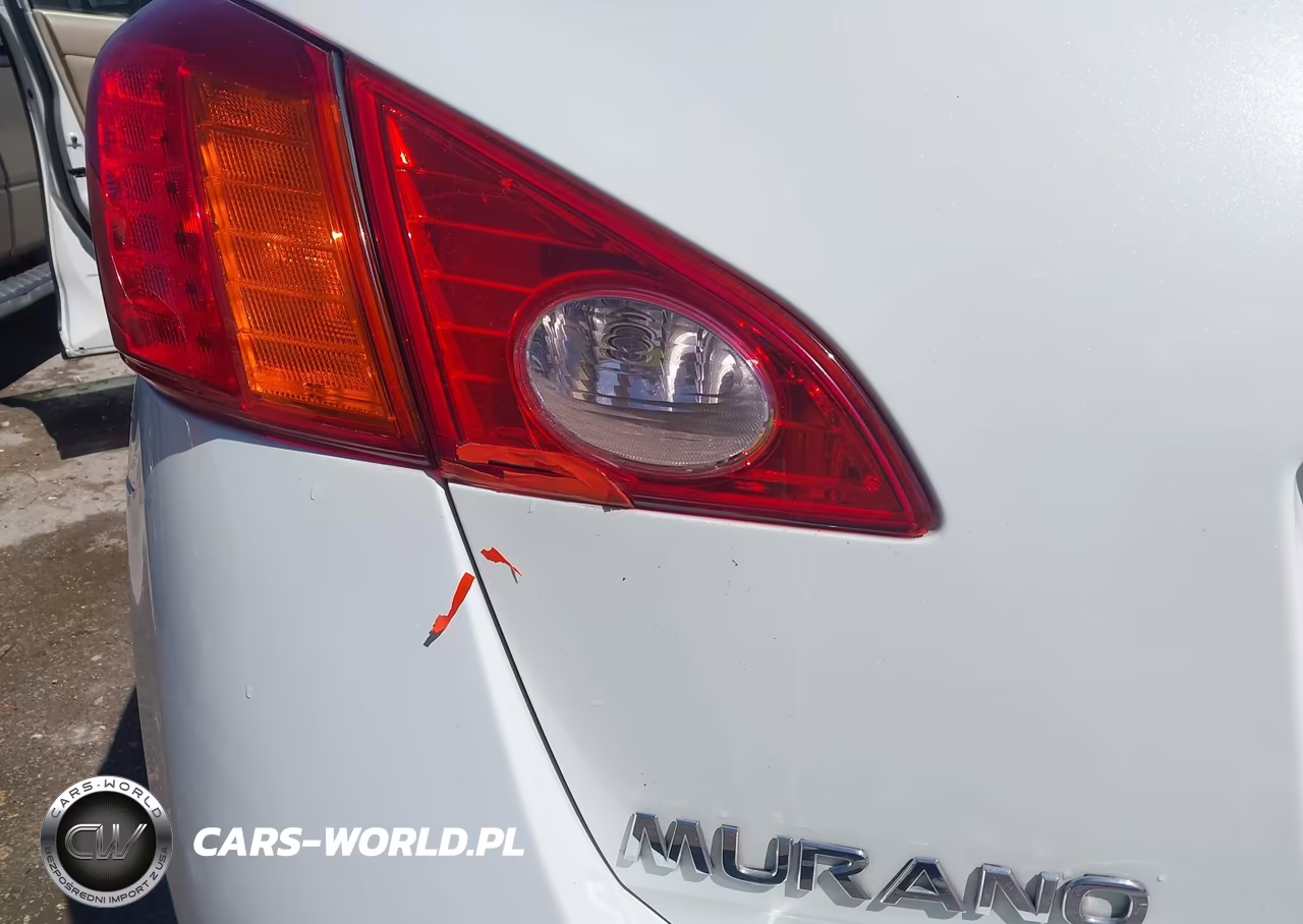 2010 Nissan Murano Sl VIN:JN8AZ1MW3AW113894 - 6
