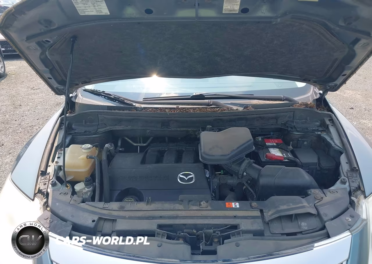 2010 Mazda Cx-9 Touring VIN:JM3TB2MV6A0215223 - 10