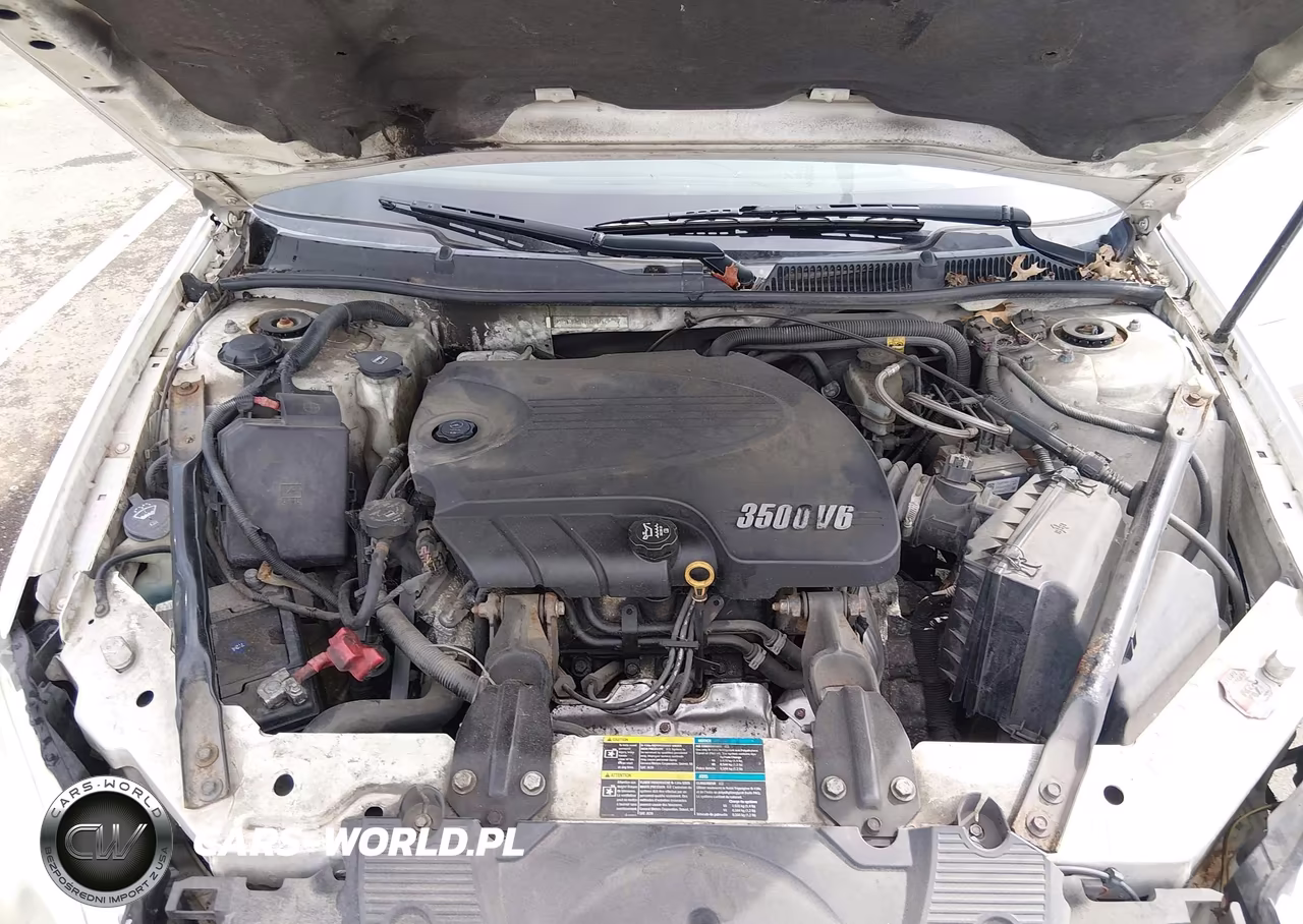 2009 Chevrolet Impala Lt VIN:2G1WT57K091183187 - 10