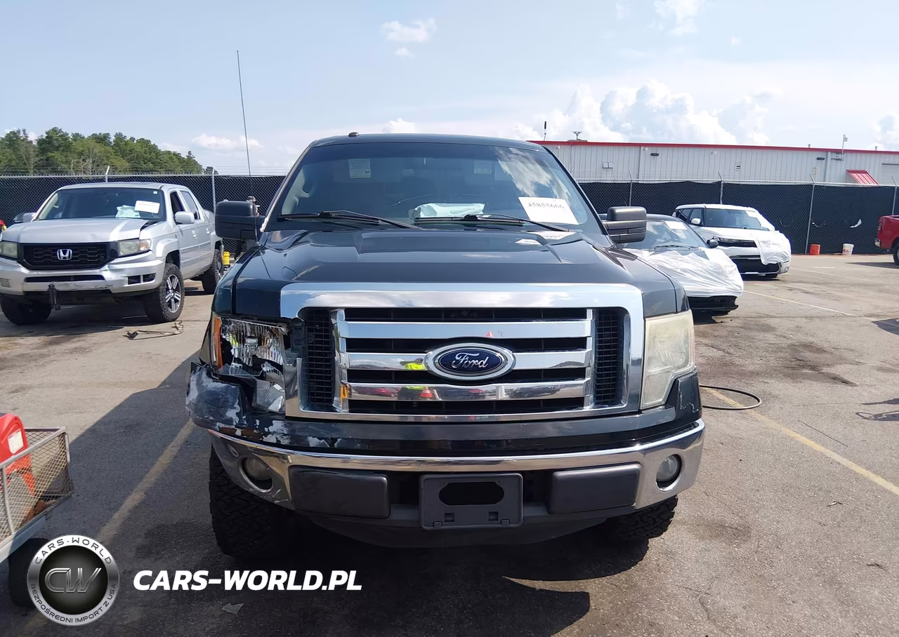 2012 Ford F-150 Xlt VIN:1FTFW1CF2CFB37487 - 12