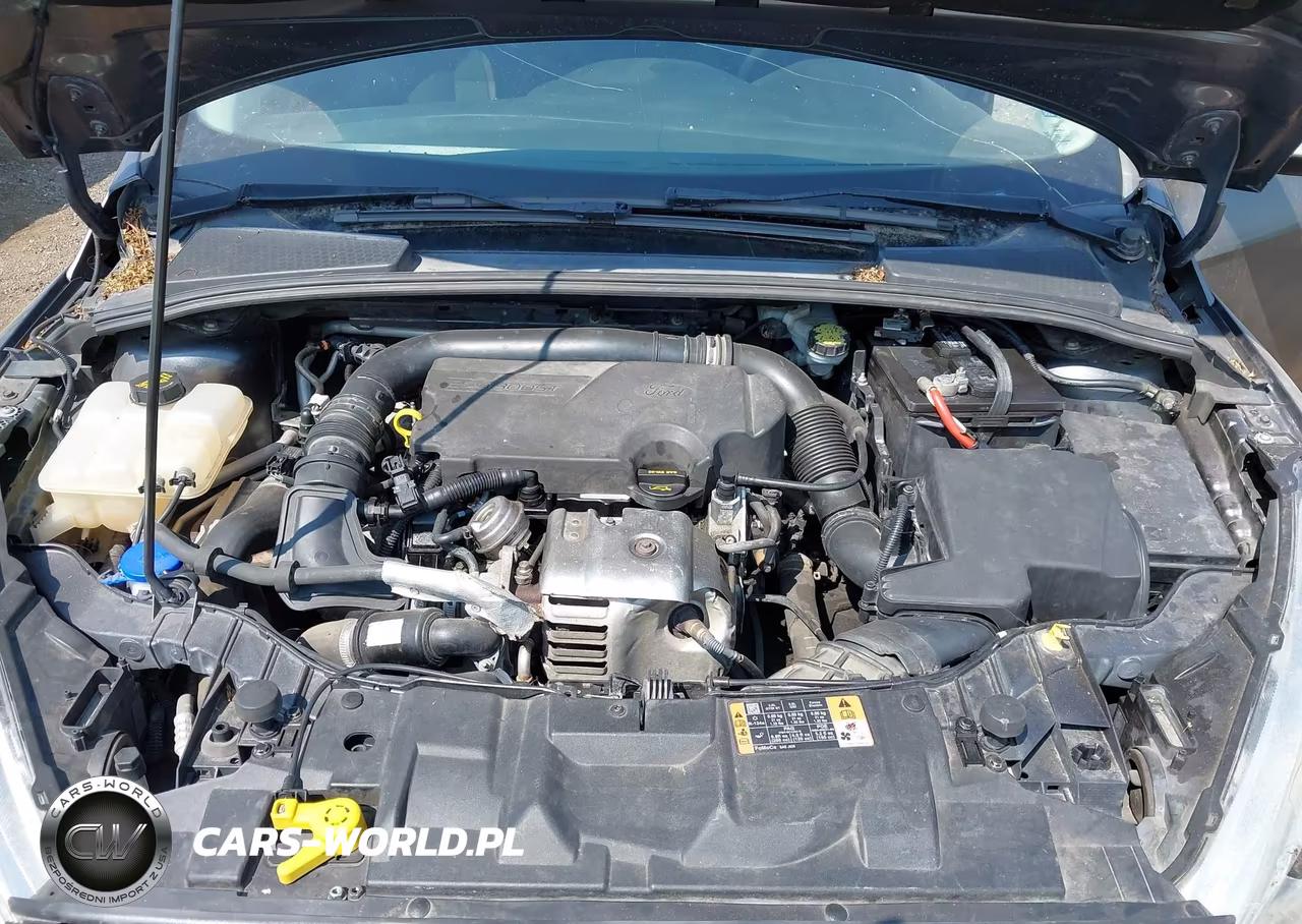 2015 FORD FOCUS SE VIN:1FADP3FE4FL314250 - 10