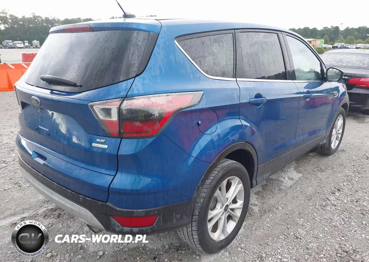 2017 Ford Escape Se VIN:1FMCU0GD8HUB21000 - 4