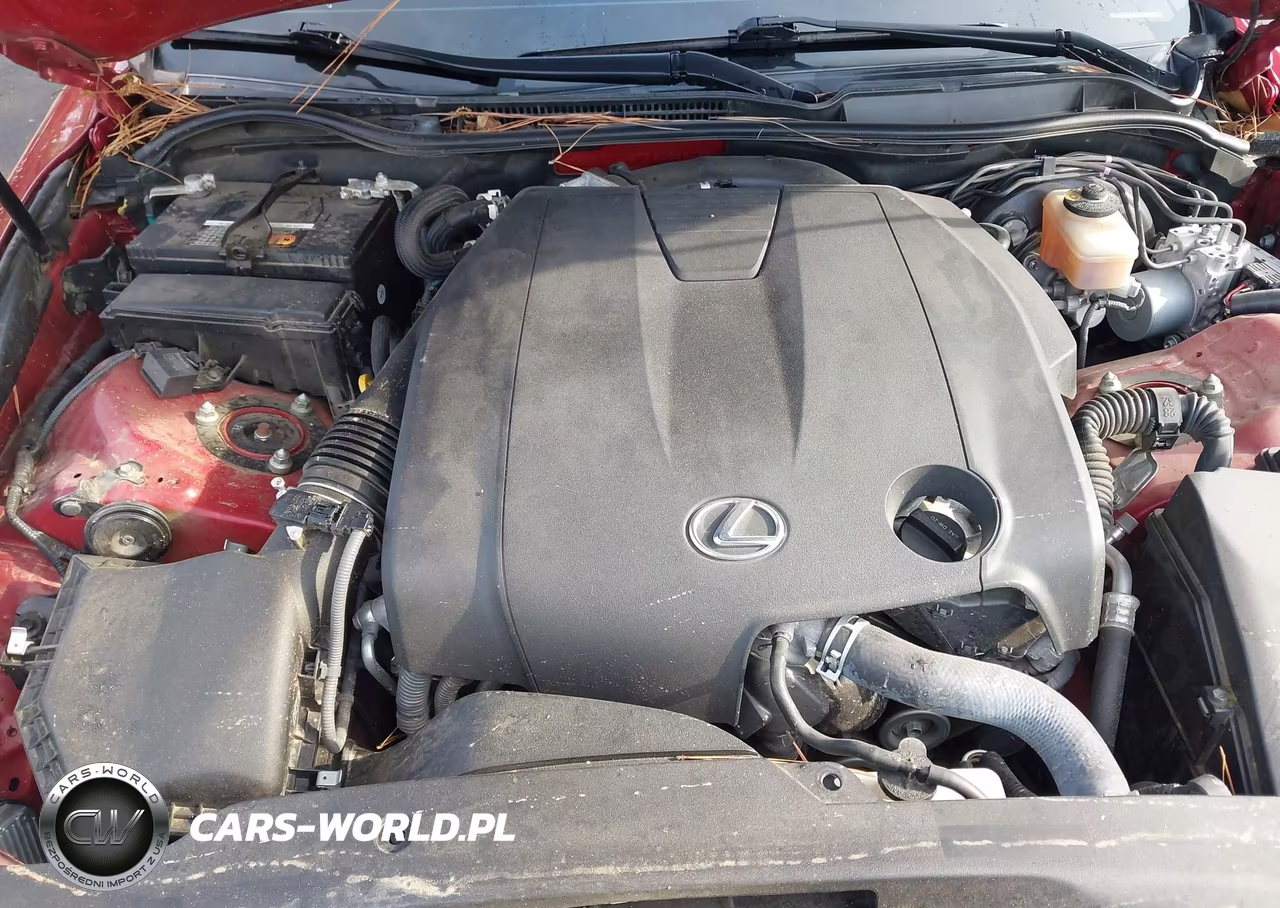 2015 Lexus Is 250 VIN:JTHBF1D27F5058903 - 10