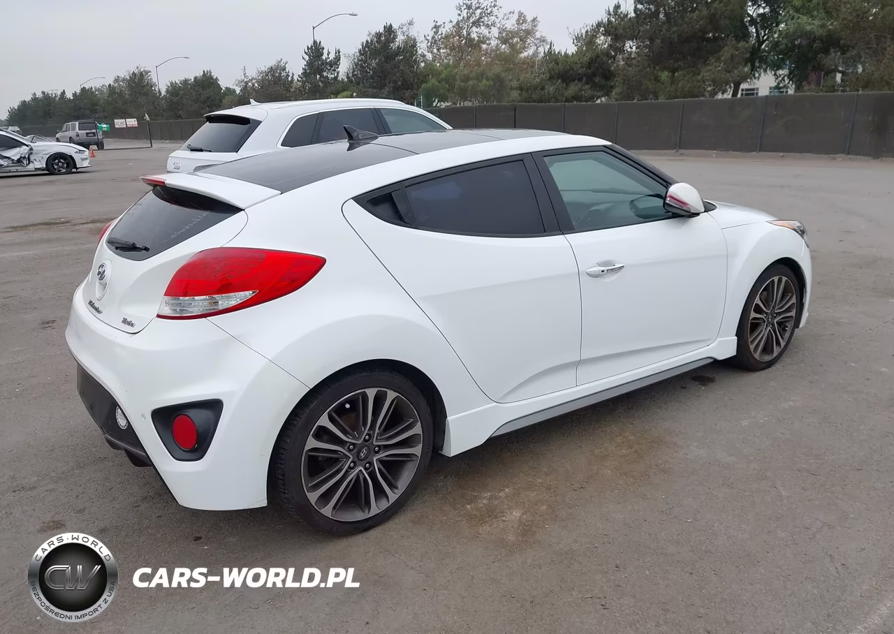 2016 Hyundai Veloster Turbo VIN:KMHTC6AE5GU283835 - 4