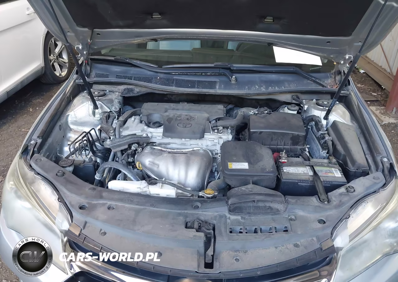 2016 Toyota Camry Se VIN:4T1BF1FK8GU116616 - 10
