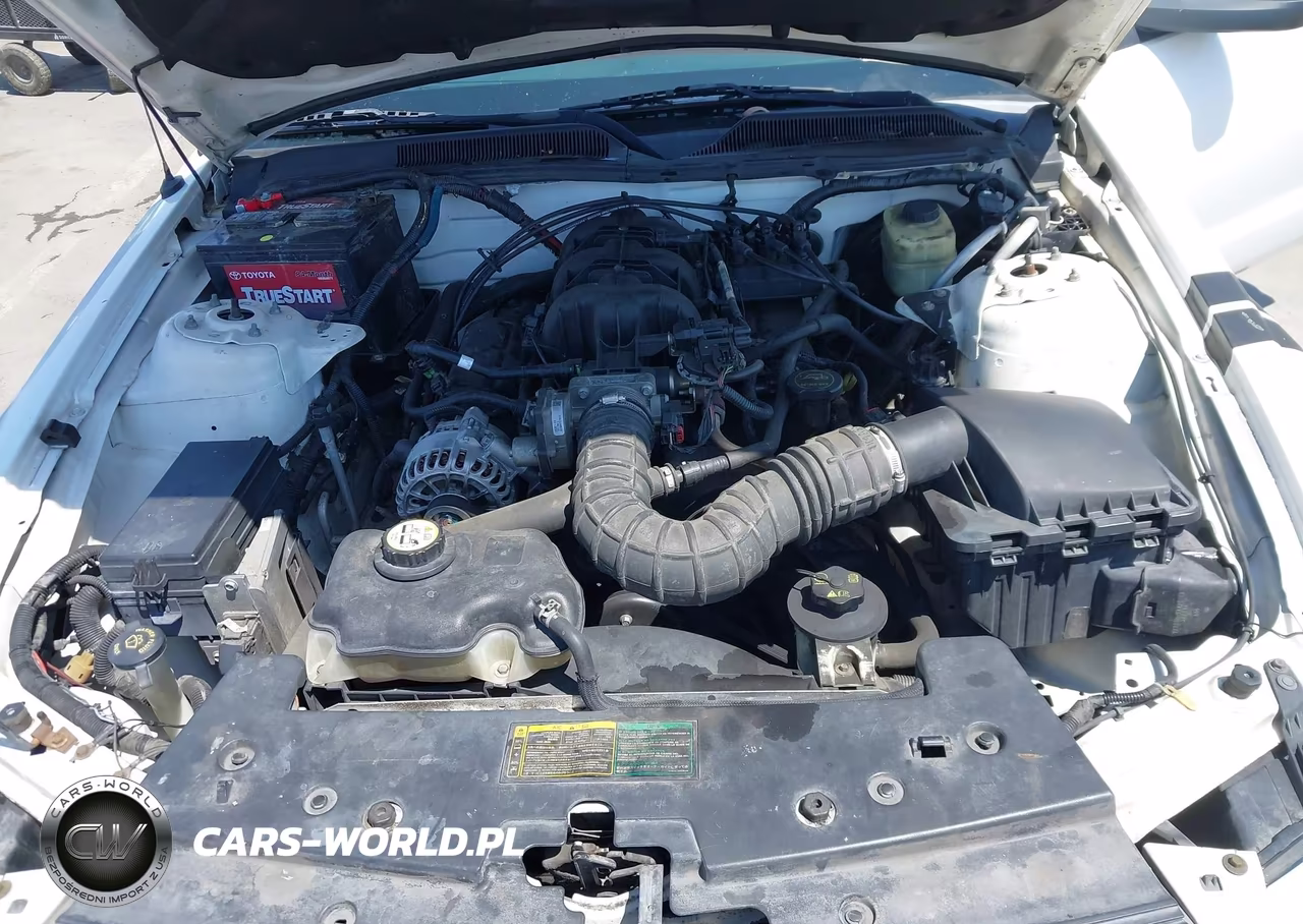 2006 Ford Mustang V6 VIN:1ZVFT80N765174782 - 10