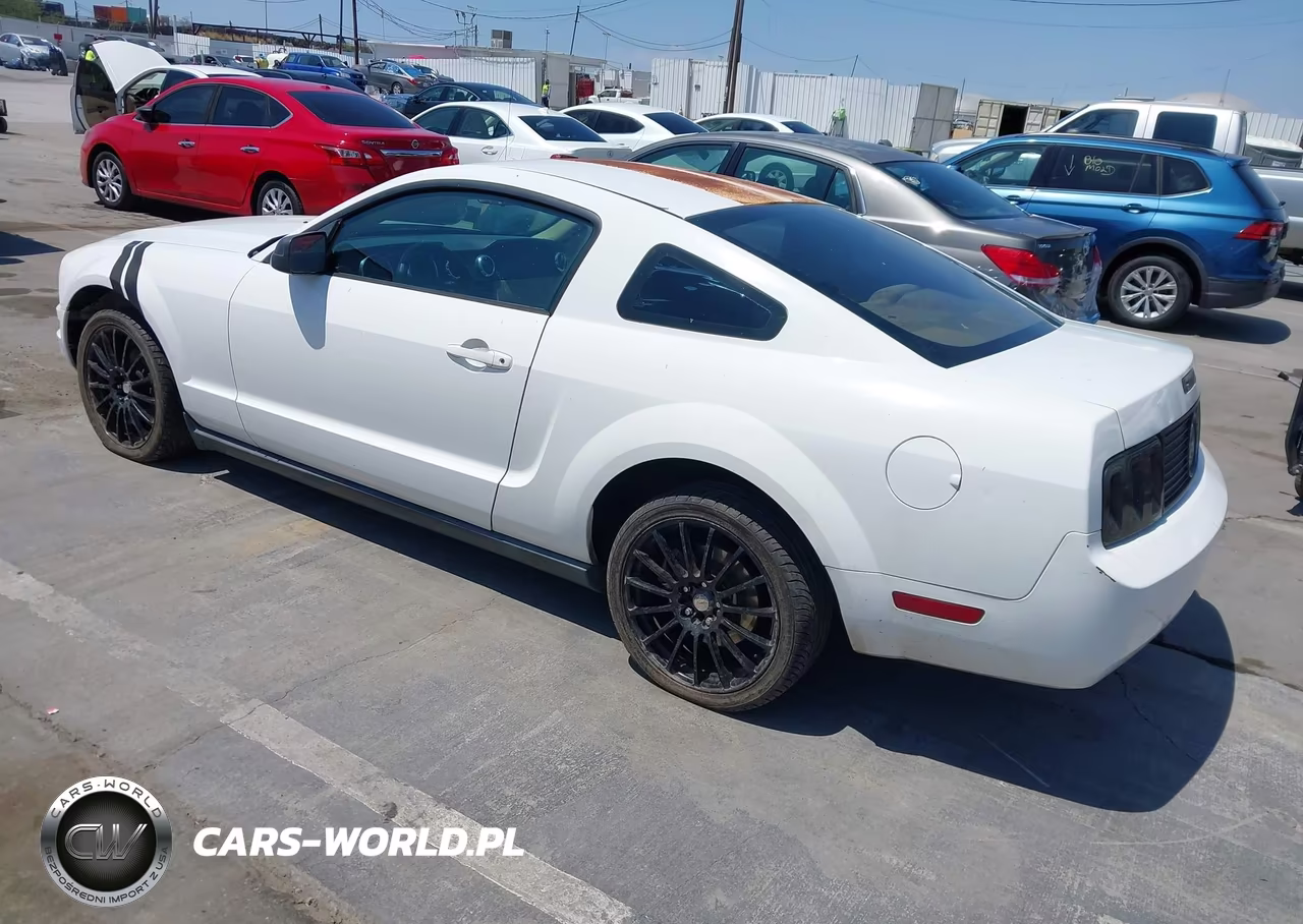 2006 Ford Mustang V6 VIN:1ZVFT80N765174782 - 3