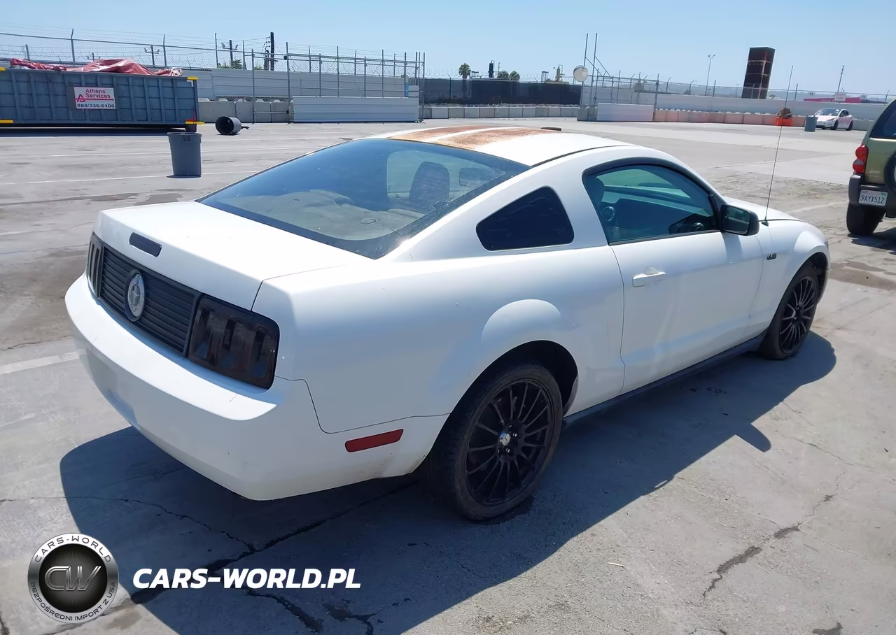 2006 Ford Mustang V6 VIN:1ZVFT80N765174782 - 4