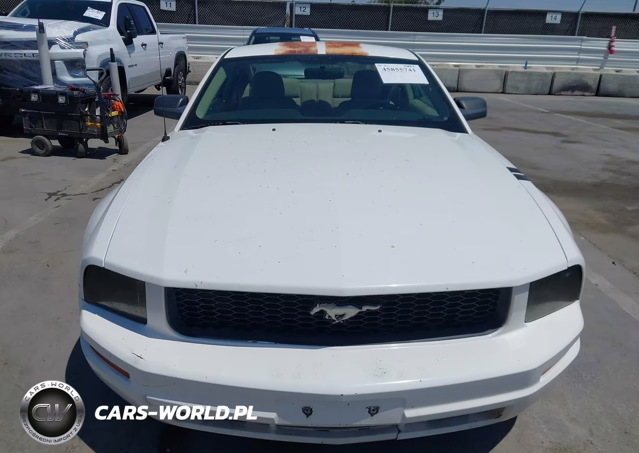 2006 Ford Mustang V6 VIN:1ZVFT80N765174782 - 6