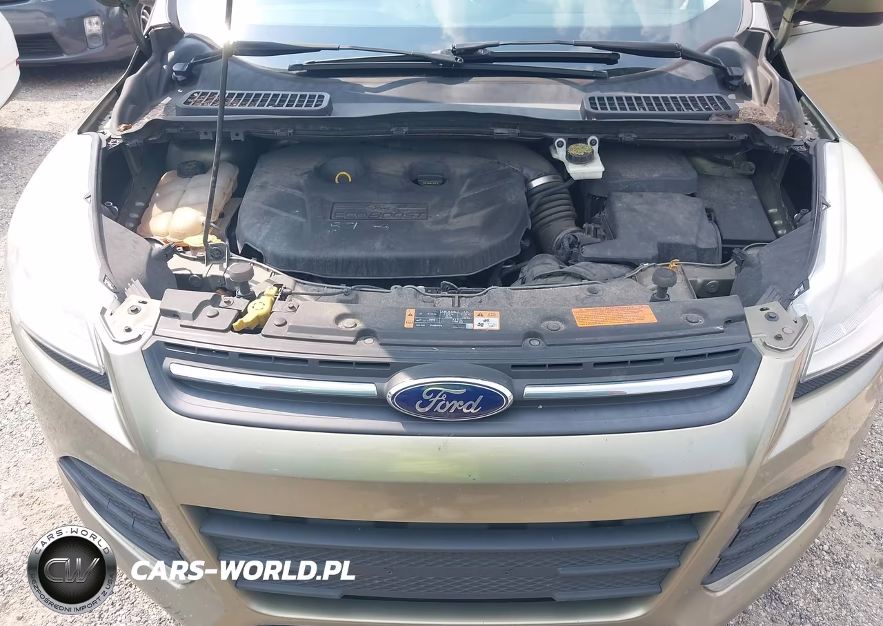2014 Ford Escape Se VIN:1FMCU9G99EUB36584 - 10