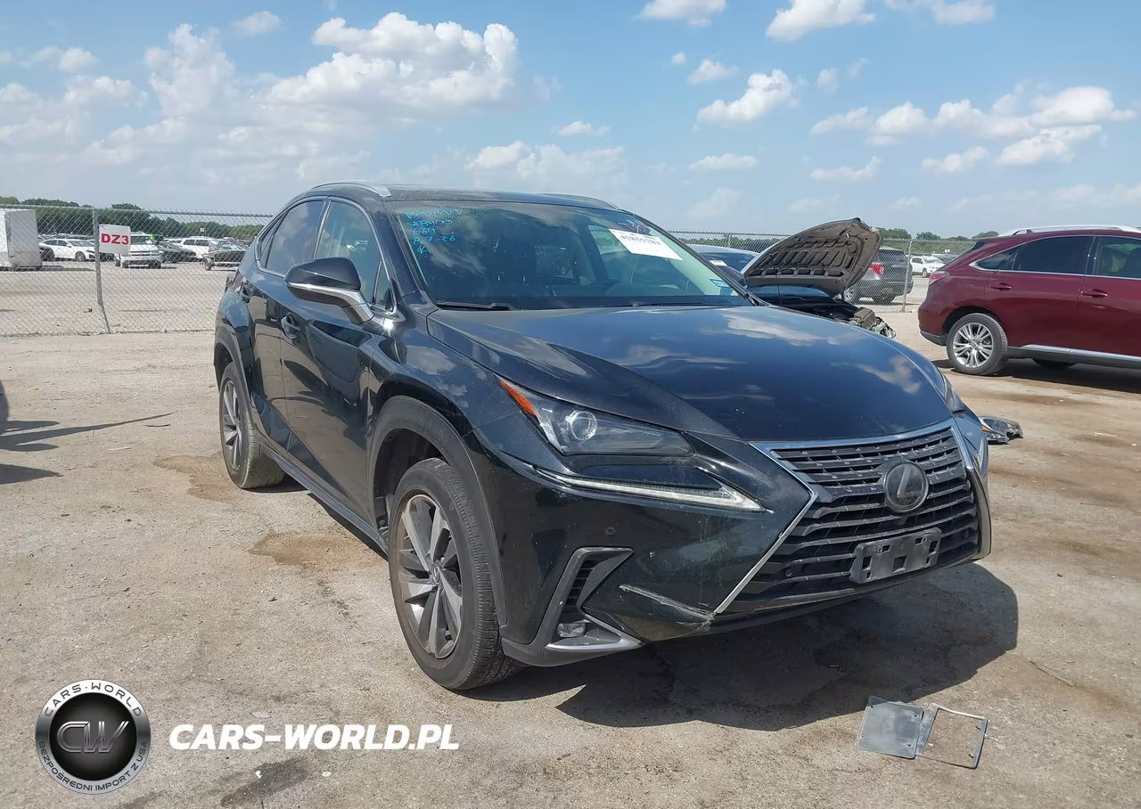 2020 Lexus Nx 300 VIN:JTJGARBZ4L5005198 - 1