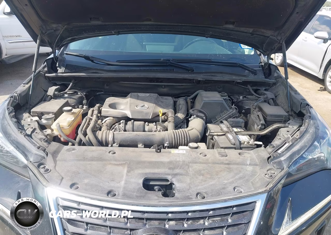 2020 Lexus Nx 300 VIN:JTJGARBZ4L5005198 - 10
