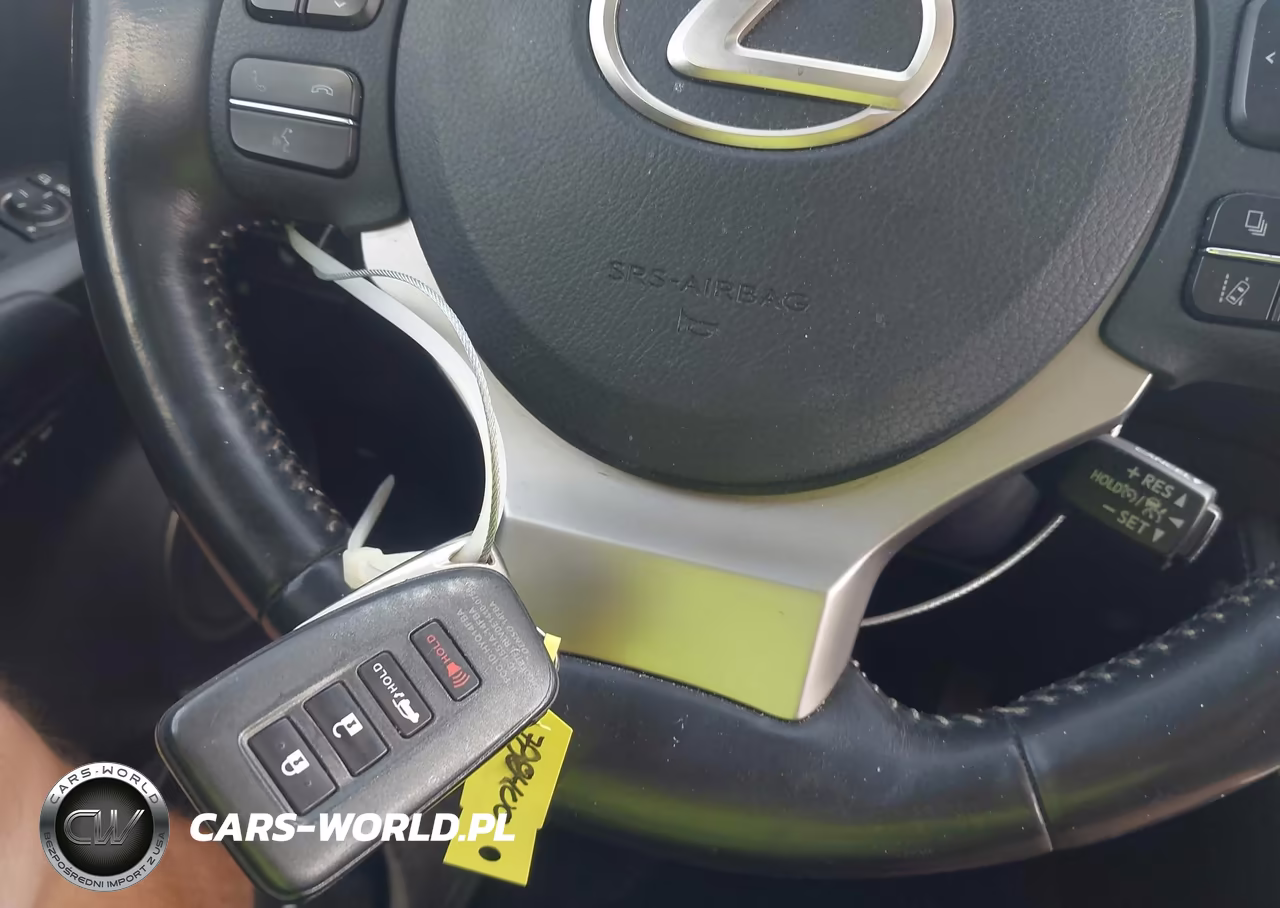 2020 Lexus Nx 300 VIN:JTJGARBZ4L5005198 - 11