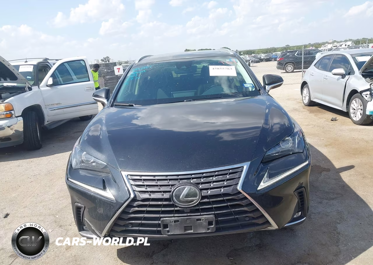 2020 Lexus Nx 300 VIN:JTJGARBZ4L5005198 - 12