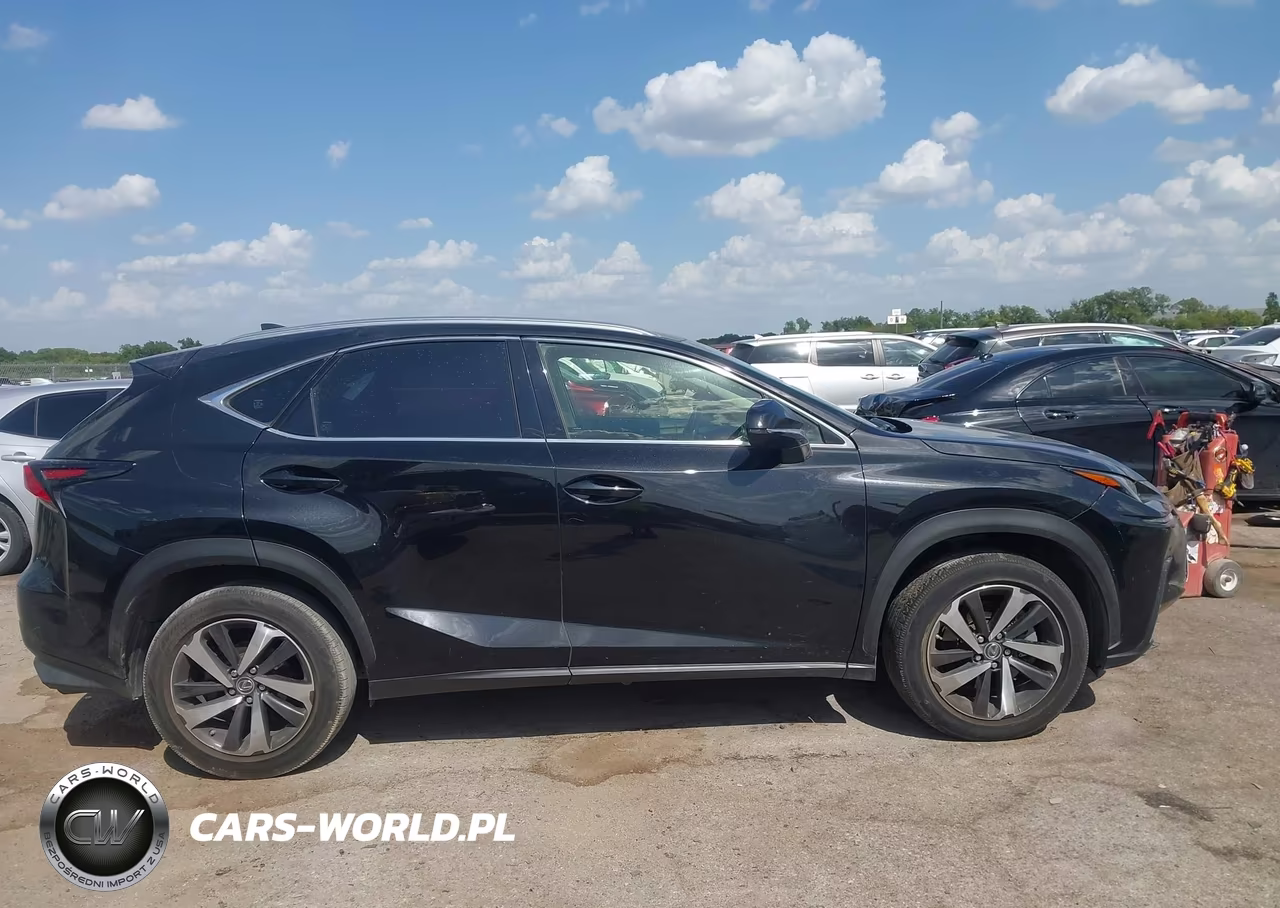 2020 Lexus Nx 300 VIN:JTJGARBZ4L5005198 - 13