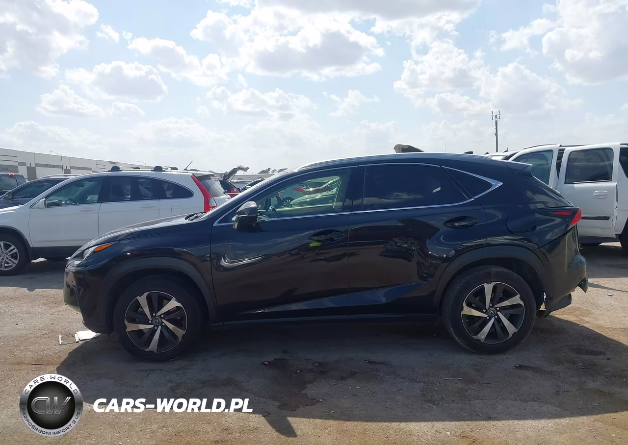 2020 Lexus Nx 300 VIN:JTJGARBZ4L5005198 - 14
