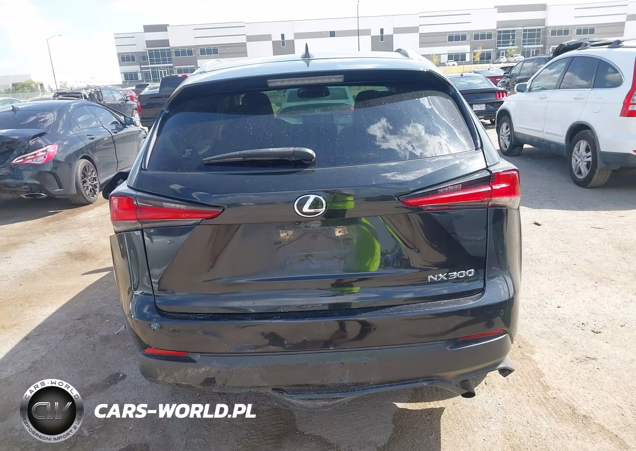2020 Lexus Nx 300 VIN:JTJGARBZ4L5005198 - 16