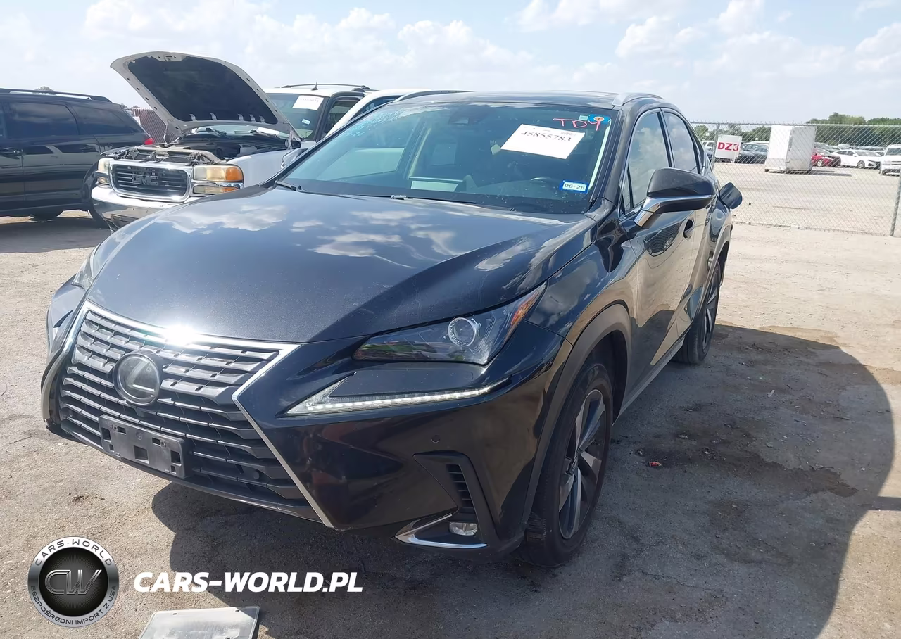 2020 Lexus Nx 300 VIN:JTJGARBZ4L5005198 - 2