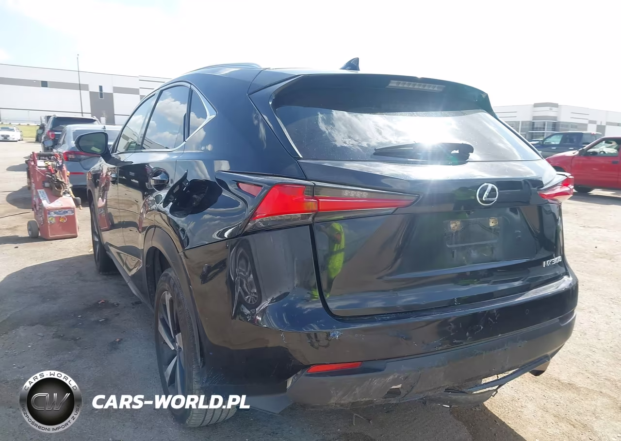 2020 Lexus Nx 300 VIN:JTJGARBZ4L5005198 - 3