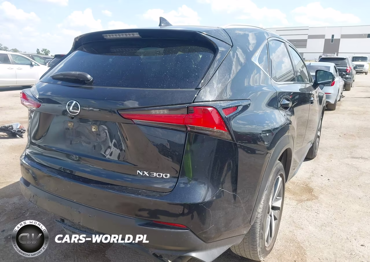 2020 Lexus Nx 300 VIN:JTJGARBZ4L5005198 - 4