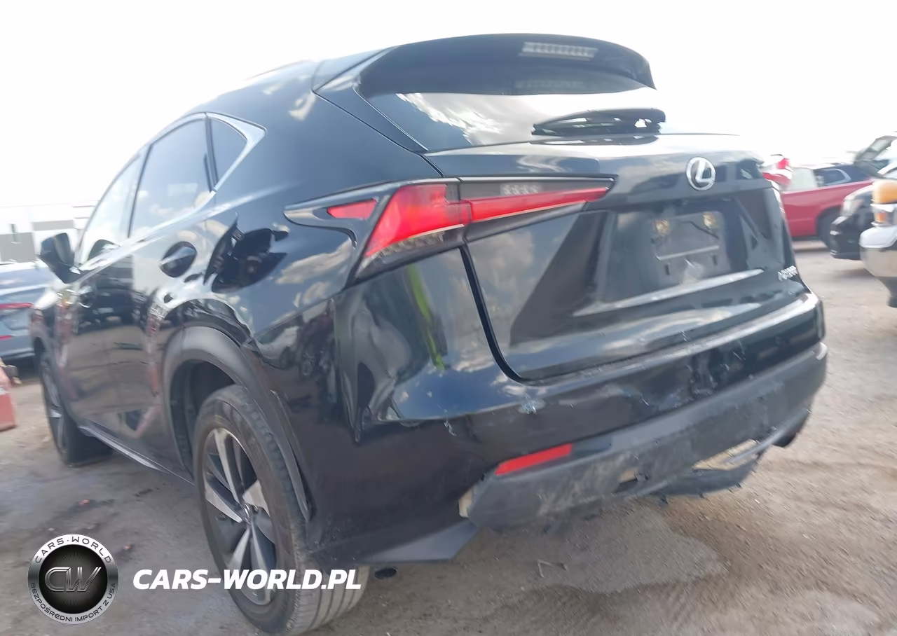 2020 Lexus Nx 300 VIN:JTJGARBZ4L5005198 - 6