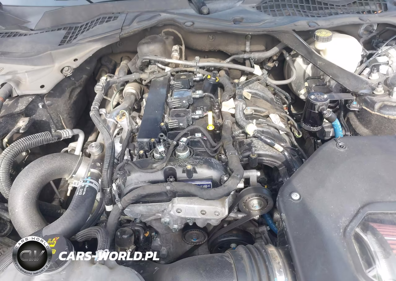 2019 Ford Mustang Ecoboost Premium VIN:1FATP8UH3K5126226 - 10