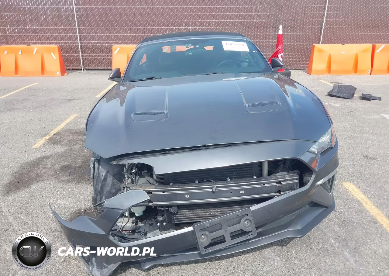 2019 Ford Mustang Ecoboost Premium VIN:1FATP8UH3K5126226 - 12