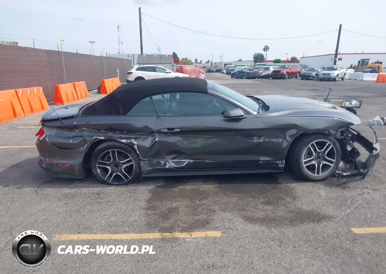2019 Ford Mustang Ecoboost Premium VIN:1FATP8UH3K5126226 - 13