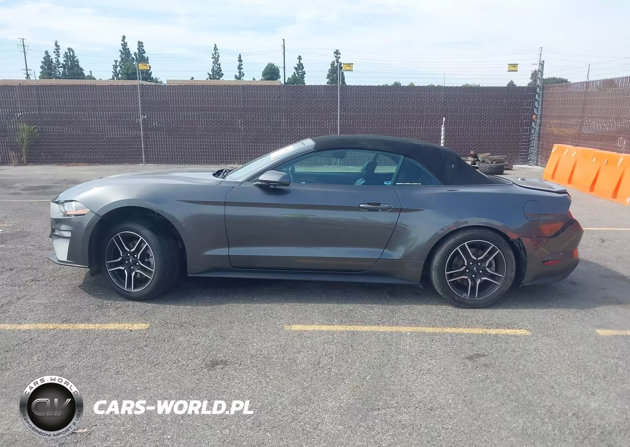 2019 Ford Mustang Ecoboost Premium VIN:1FATP8UH3K5126226 - 14