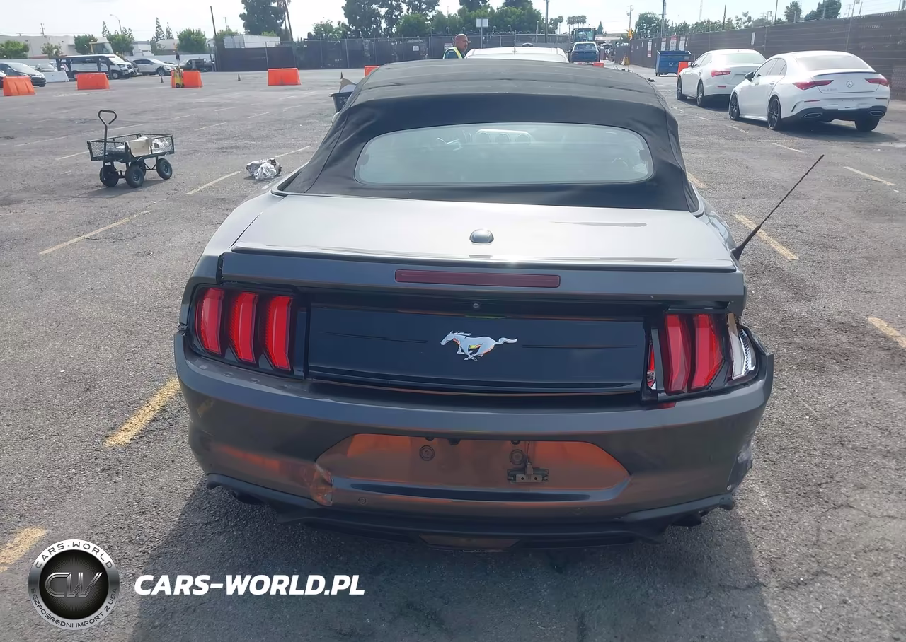 2019 Ford Mustang Ecoboost Premium VIN:1FATP8UH3K5126226 - 16