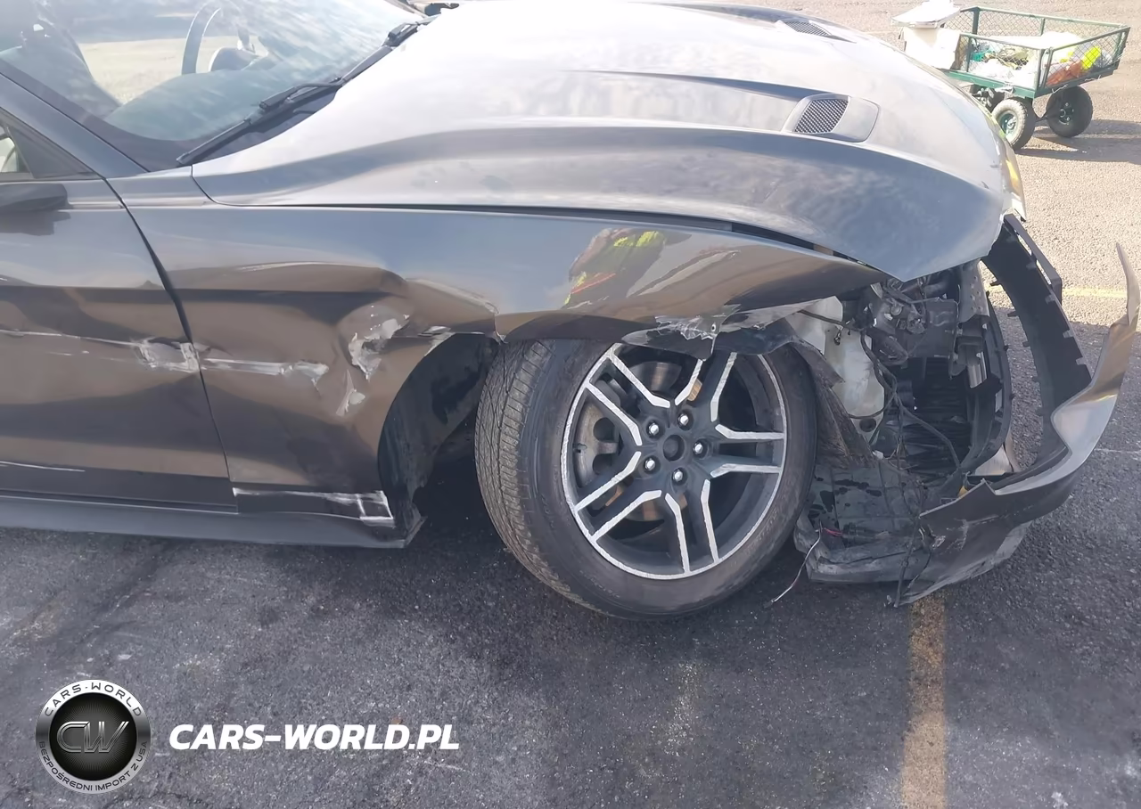 2019 Ford Mustang Ecoboost Premium VIN:1FATP8UH3K5126226 - 17
