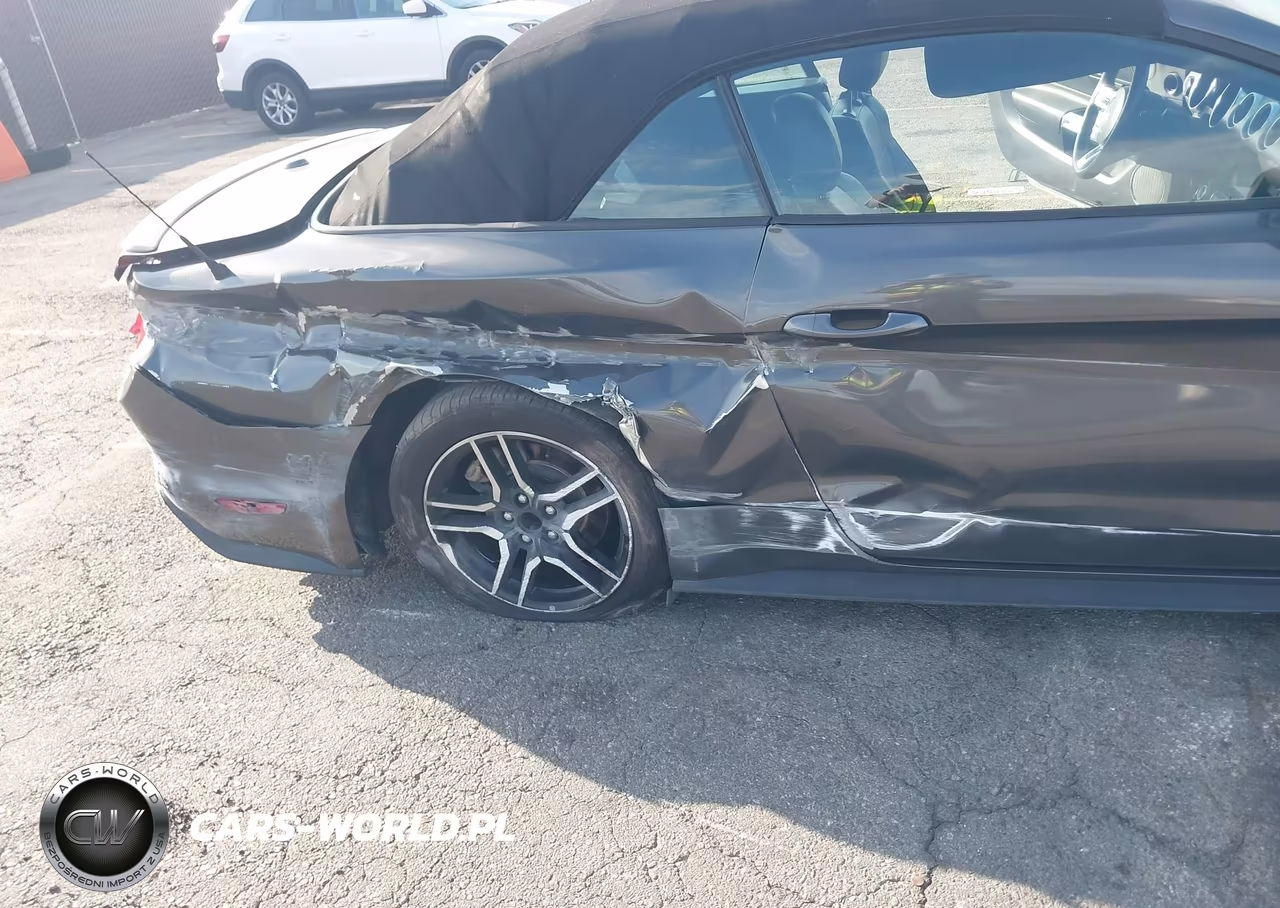 2019 Ford Mustang Ecoboost Premium VIN:1FATP8UH3K5126226 - 18