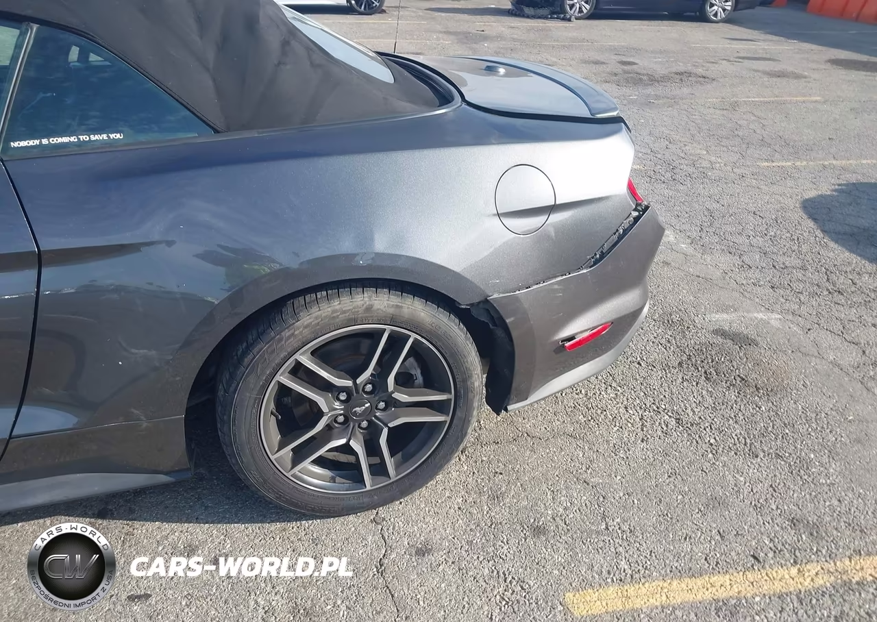 2019 Ford Mustang Ecoboost Premium VIN:1FATP8UH3K5126226 - 20