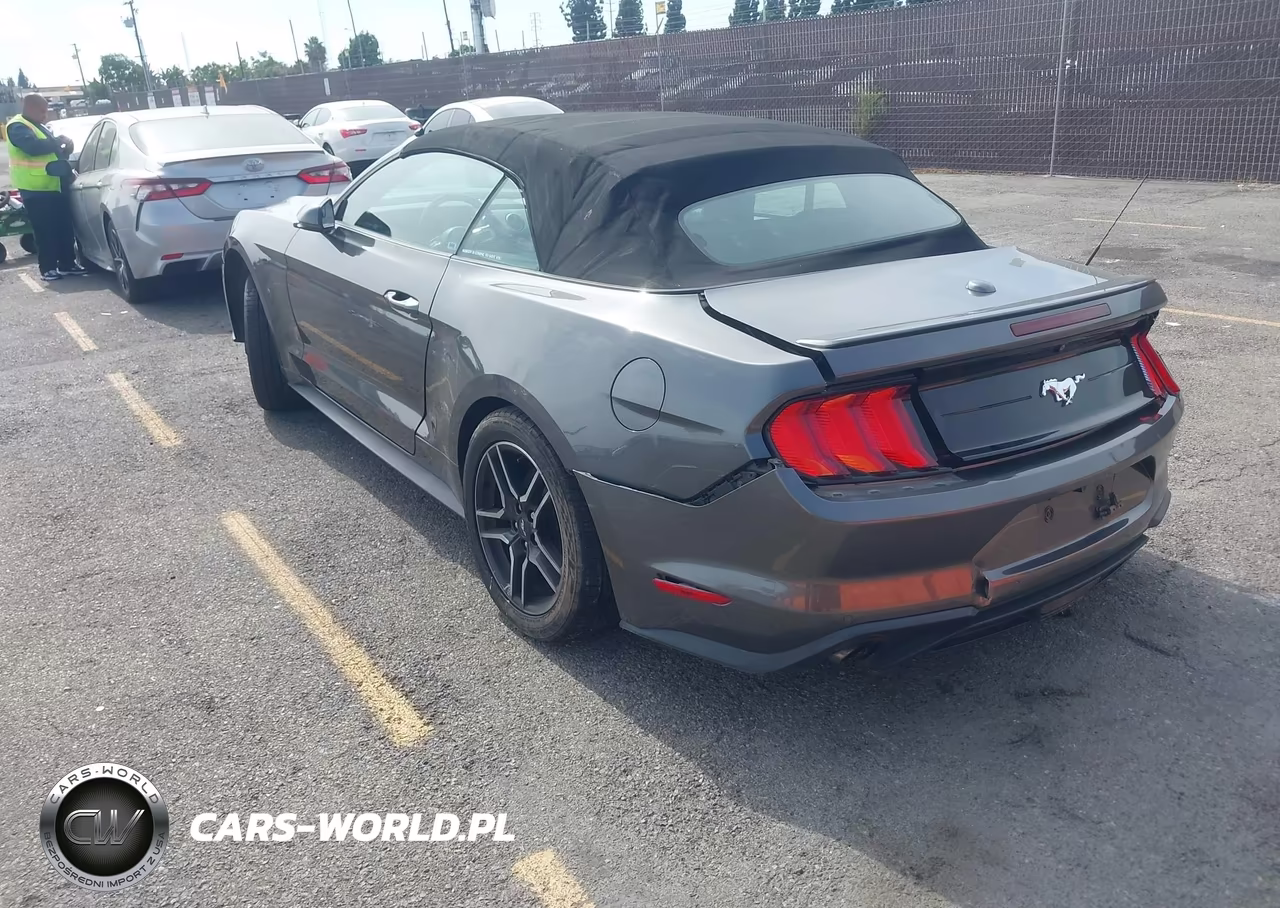 2019 Ford Mustang Ecoboost Premium VIN:1FATP8UH3K5126226 - 3