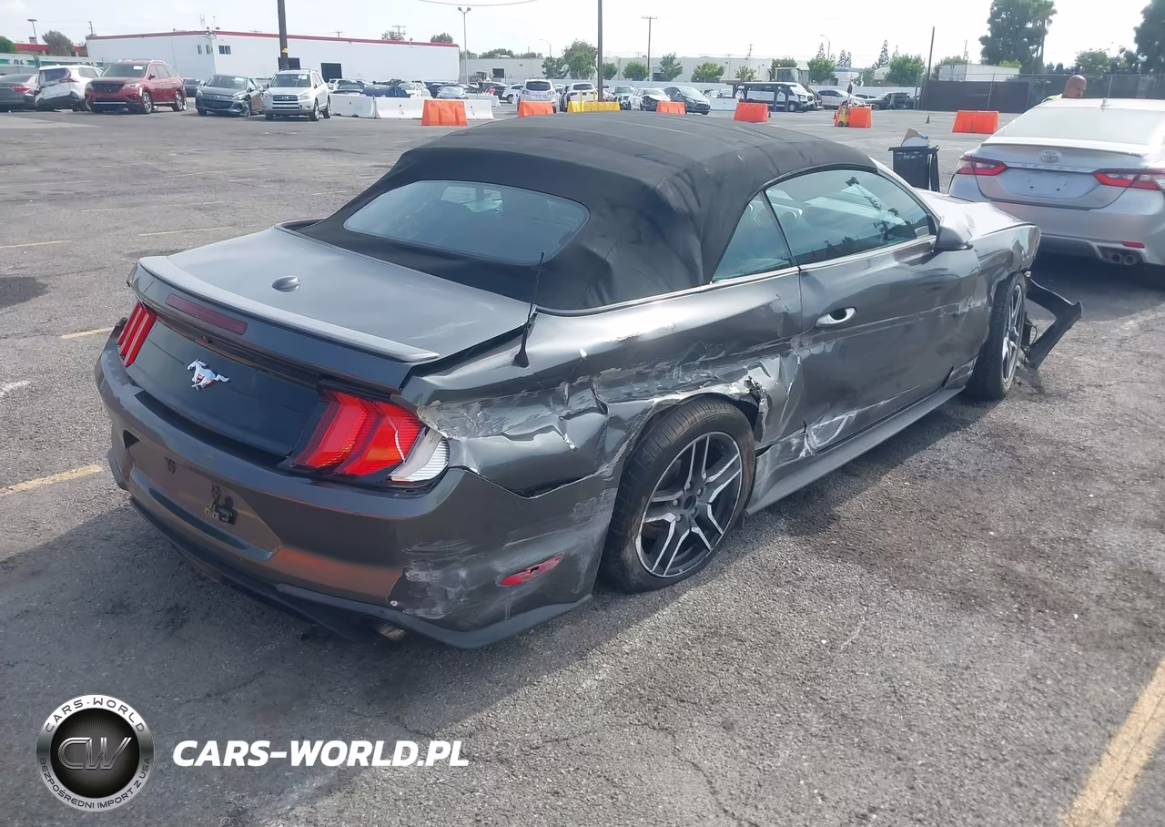 2019 Ford Mustang Ecoboost Premium VIN:1FATP8UH3K5126226 - 4
