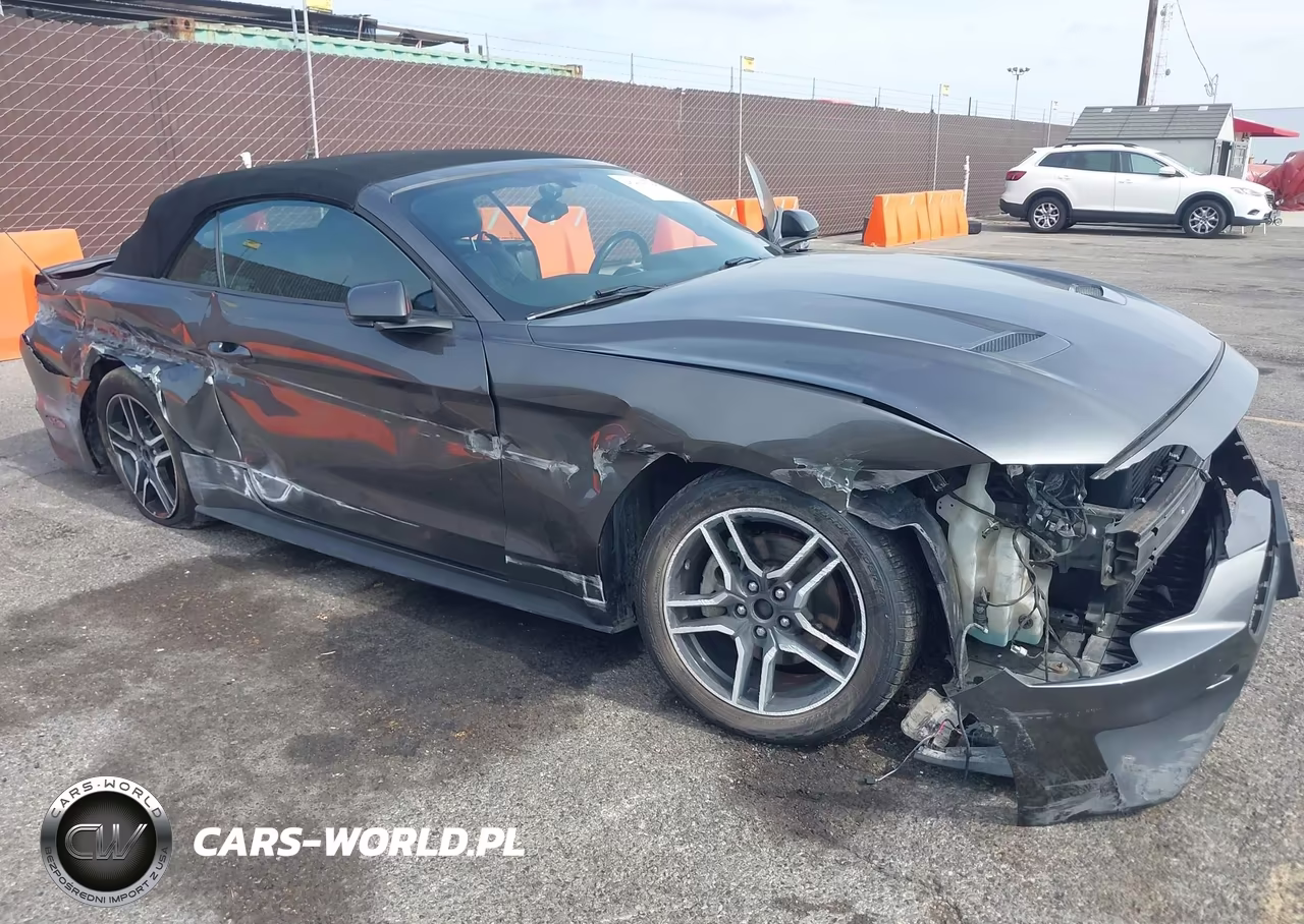 2019 Ford Mustang Ecoboost Premium VIN:1FATP8UH3K5126226 - 6