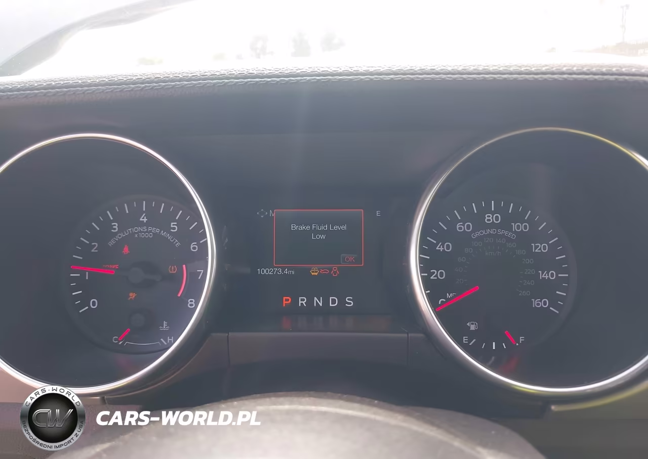 2019 Ford Mustang Ecoboost Premium VIN:1FATP8UH3K5126226 - 7