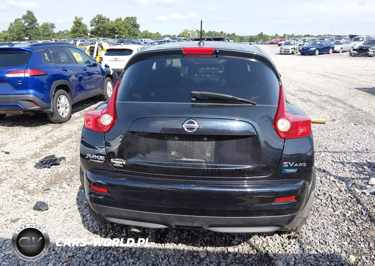 2013 Nissan Juke Sv VIN:JN8AF5MV9DT222888 - 17