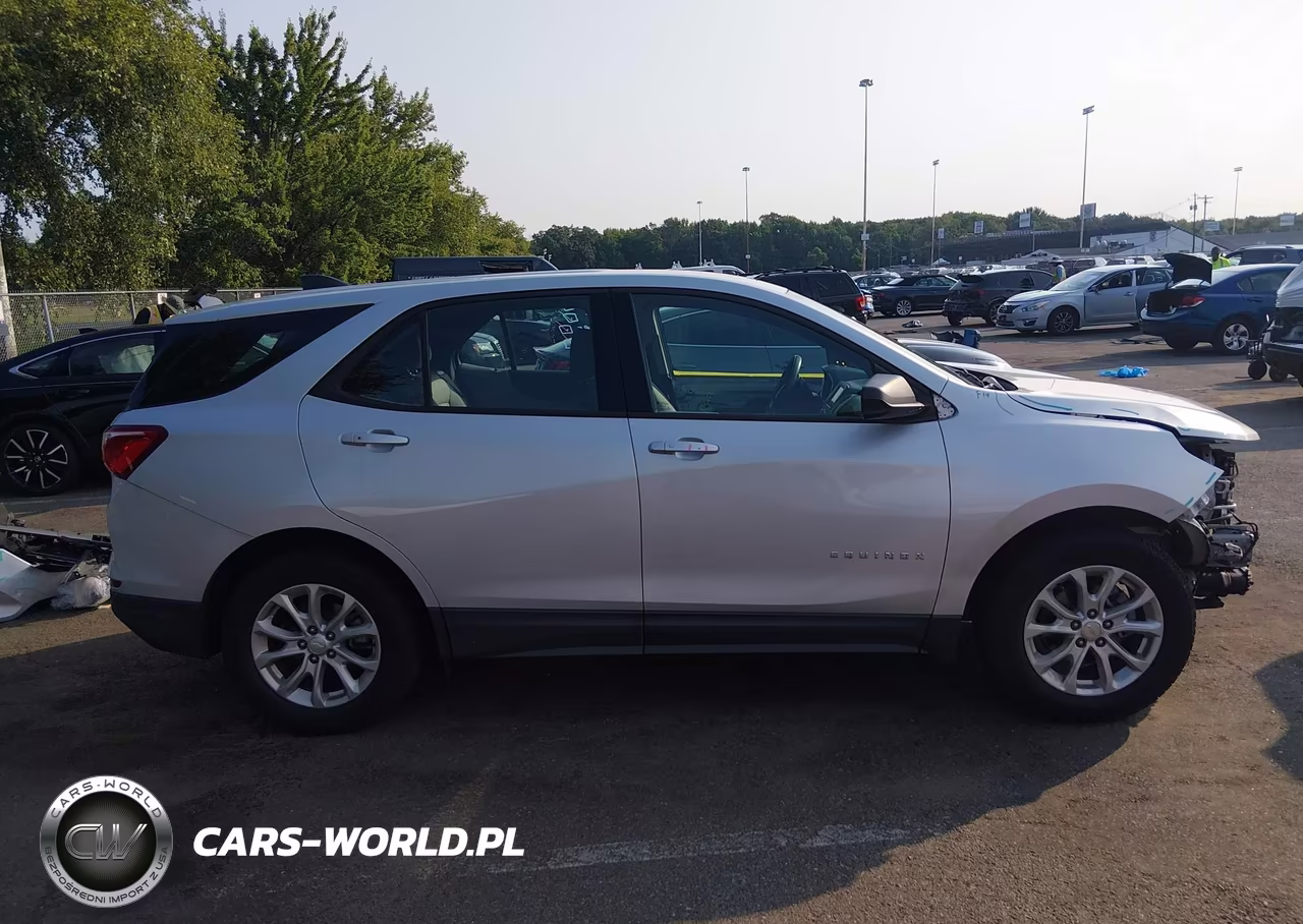 2019 Chevrolet Equinox Ls VIN:2GNAXHEV4K6304243 - 13