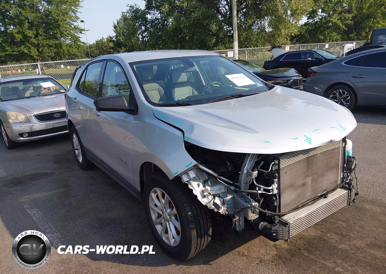 2019 Chevrolet Equinox Ls VIN:2GNAXHEV4K6304243 - 18