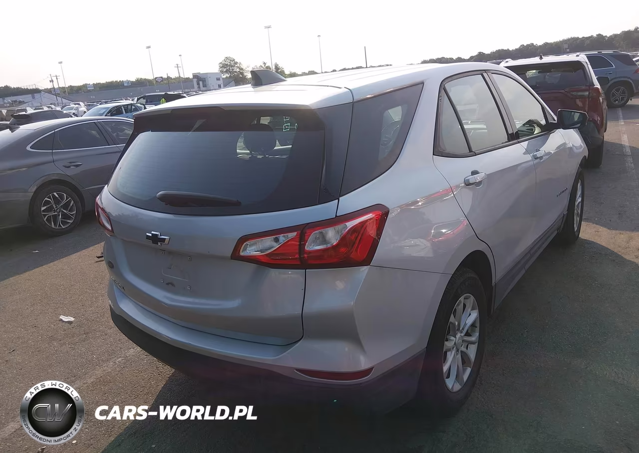 2019 Chevrolet Equinox Ls VIN:2GNAXHEV4K6304243 - 4