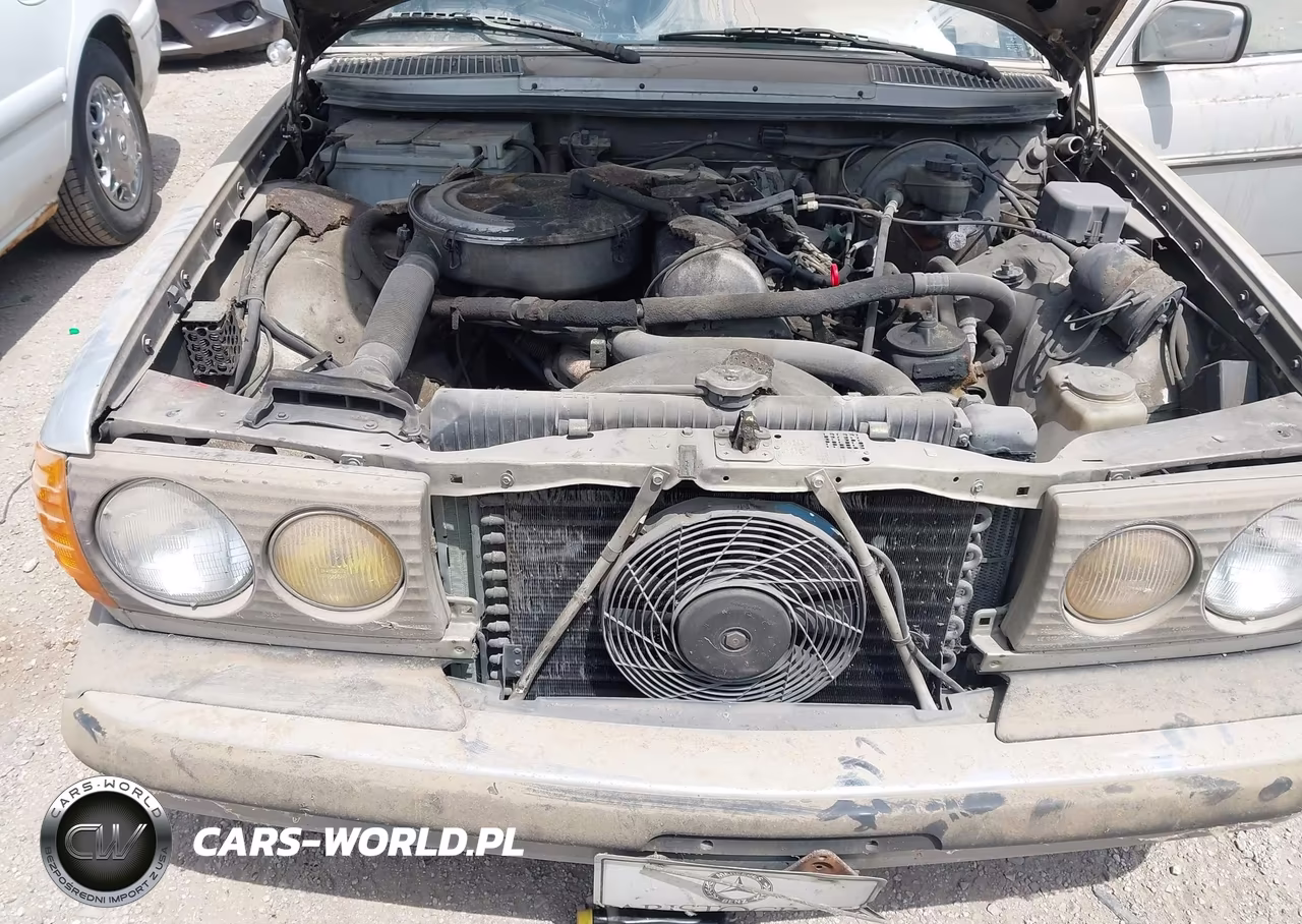 1981 Mercedes-Benz 300 D VIN:WDBAB30A9BB223572 - 10