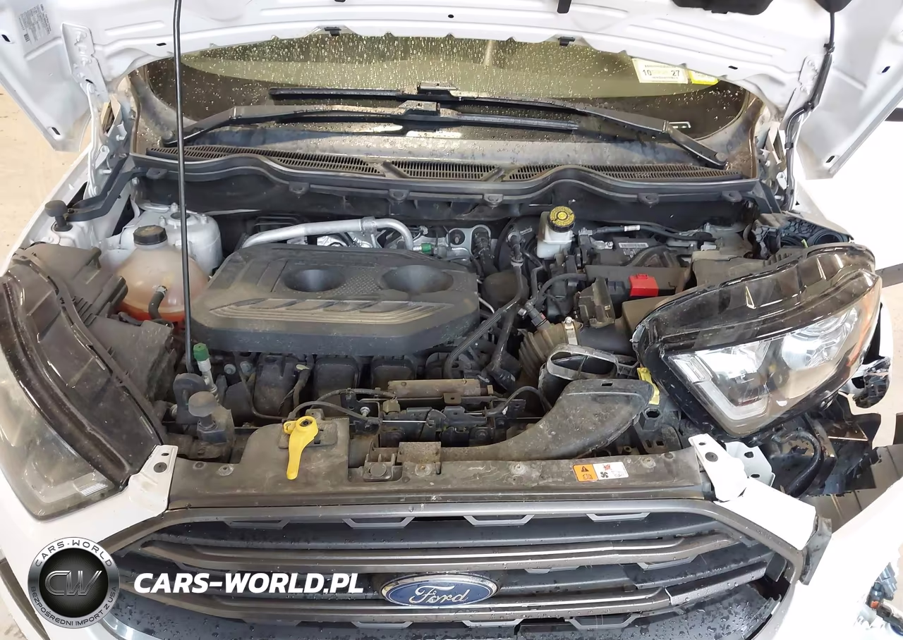 2018 Ford Ecosport Ses VIN:MAJ6P1CL0JC199509 - 10