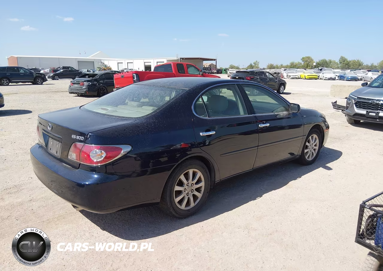 2003 Lexus Es 300 VIN:JTHBF30G230100318 - 4