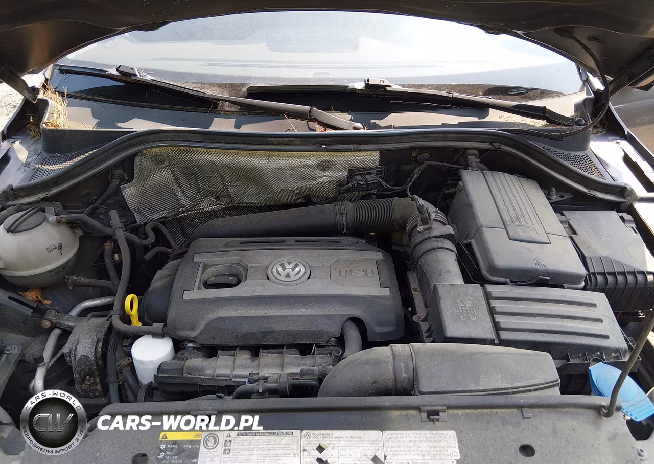 2015 Volkswagen Tiguan S VIN:WVGBV7AX9FW615419 - 10