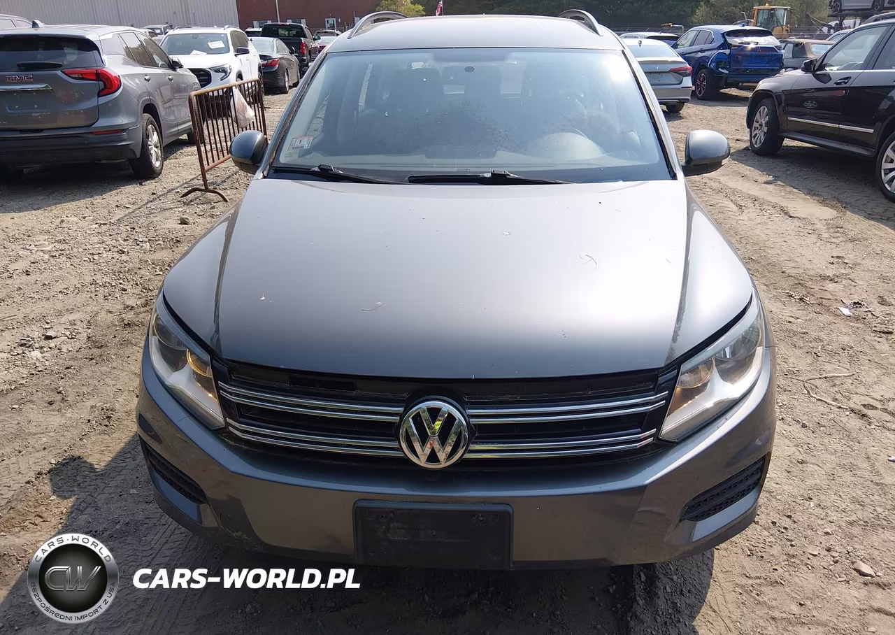 2015 Volkswagen Tiguan S VIN:WVGBV7AX9FW615419 - 12