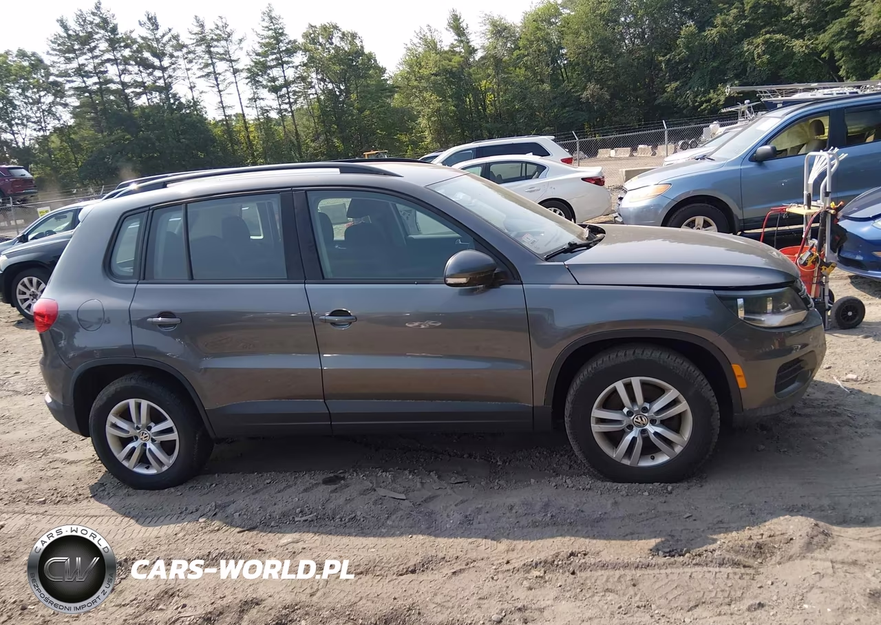 2015 Volkswagen Tiguan S VIN:WVGBV7AX9FW615419 - 13