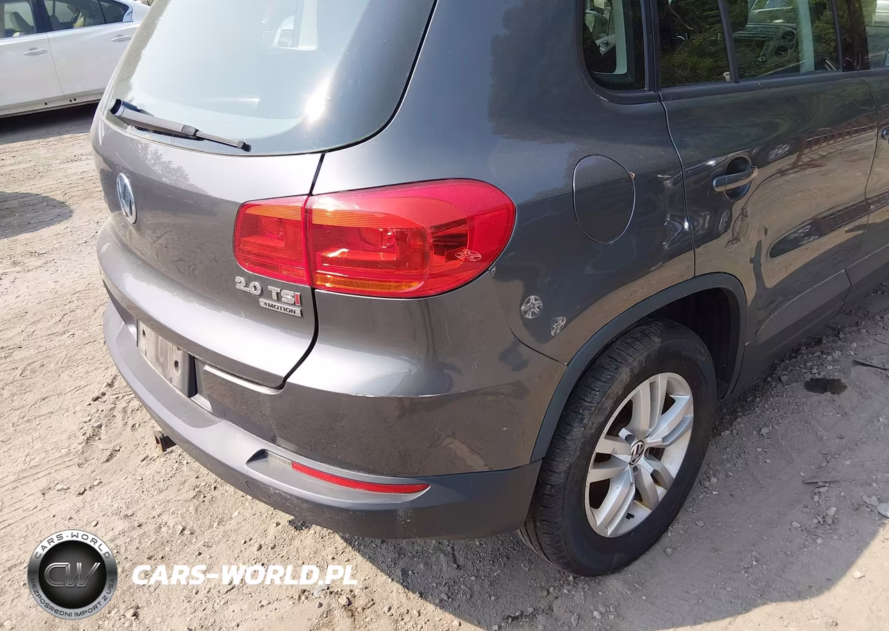 2015 Volkswagen Tiguan S VIN:WVGBV7AX9FW615419 - 6