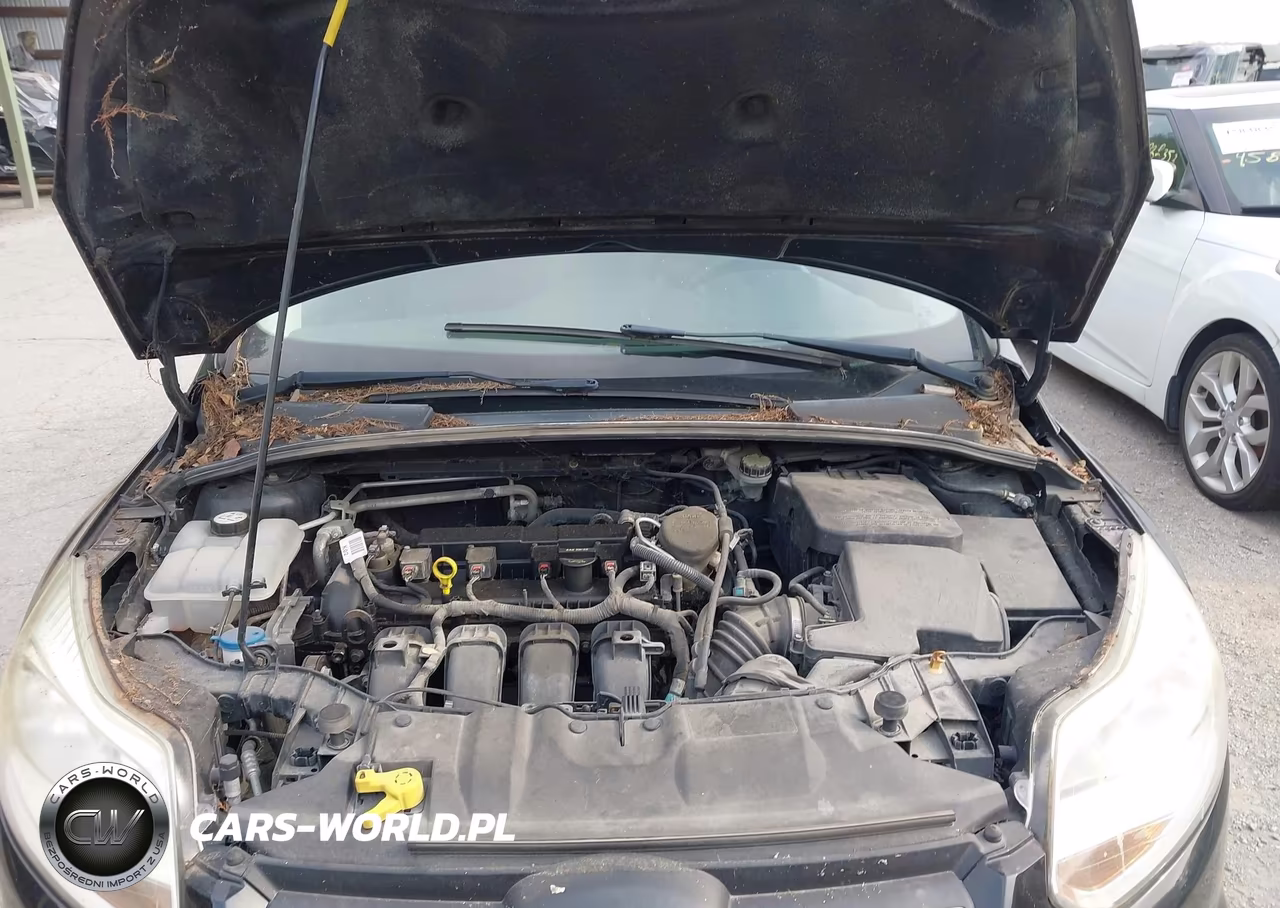 2013 Ford Focus Se VIN:1FADP3F27DL335290 - 10