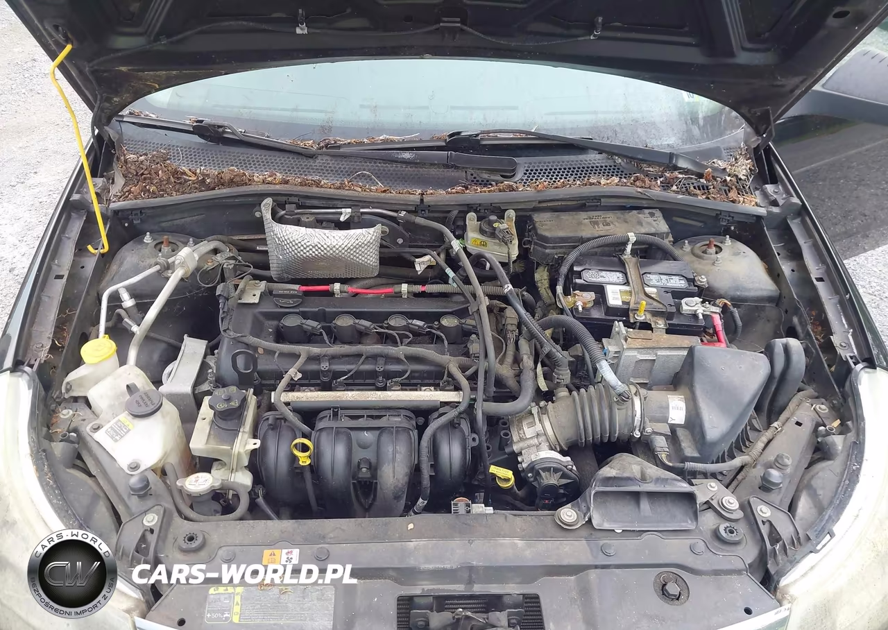 2010 Ford Focus S VIN:1FAHP3EN7AW140877 - 10